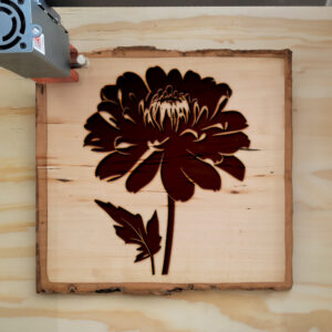 45327_wood-laser-1.jpg