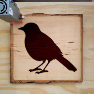 45359_wood-laser-1.jpg