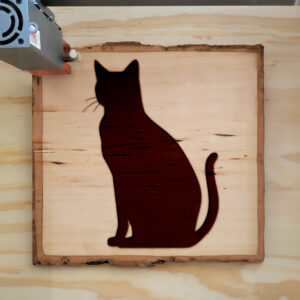 45384_wood-laser-1.jpg