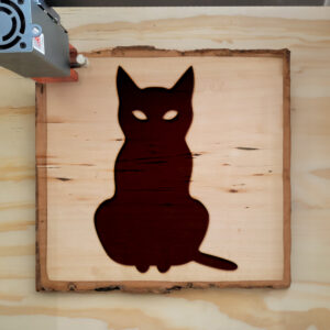 45386_wood-laser-1.jpg