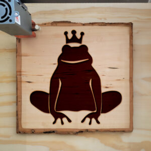 45416_wood-laser-1.jpg