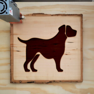 45420_wood-laser-1.jpg