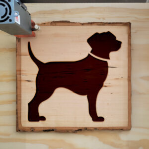 45422_wood-laser-1.jpg