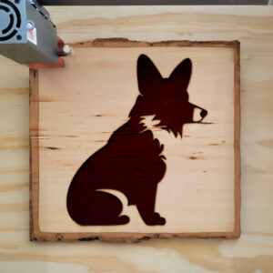 45509_wood-laser-1.jpg