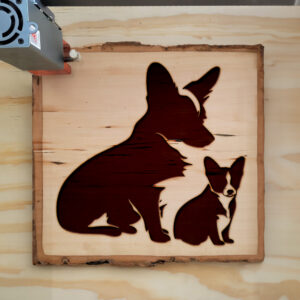 45521_wood-laser-1.jpg