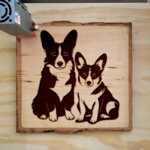 45527_wood-laser-1.jpg