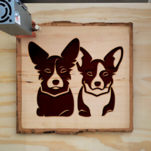45529_wood-laser-1.jpg
