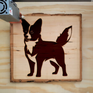 45533_wood-laser-1.jpg