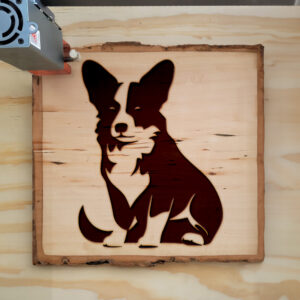 45541_wood-laser-1.jpg