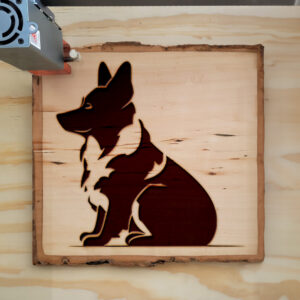 45543_wood-laser-1.jpg