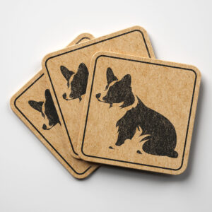 45555_coaster-1.jpg