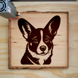 45578_wood-laser-1.jpg