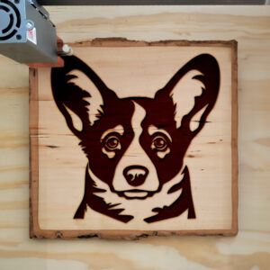 45580_wood-laser-1.jpg