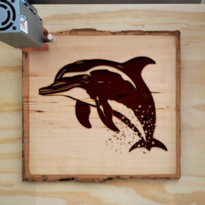 45586_wood-laser-1.jpg