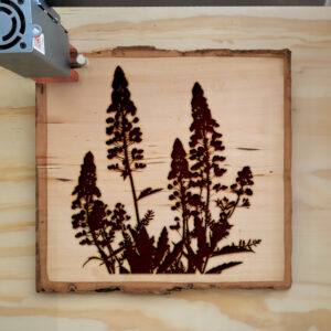45630_wood-laser-1.jpg