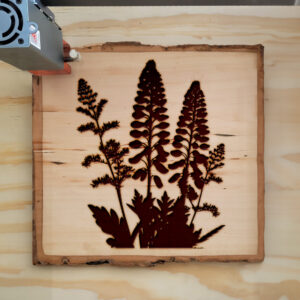 45632_wood-laser-1.jpg