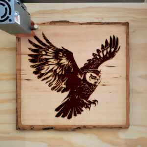 45672_wood-laser-1.jpg