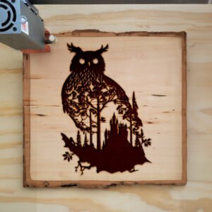45684_wood-laser-1.jpg