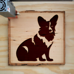 45698_wood-laser-1.jpg