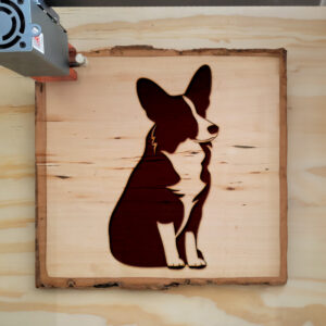 45700_wood-laser-1.jpg