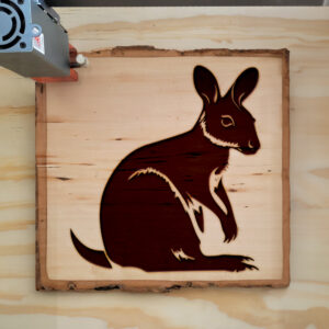 45722_wood-laser-1.jpg