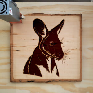 45738_wood-laser-1.jpg