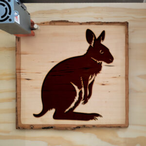 45784_wood-laser-1.jpg