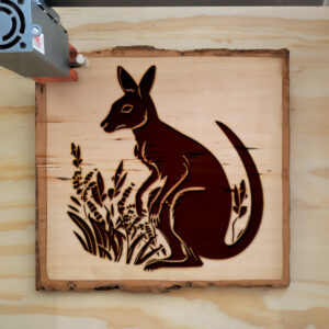 45805_wood-laser-1.jpg