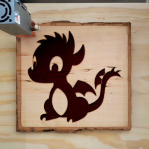 45913_wood-laser-1.jpg