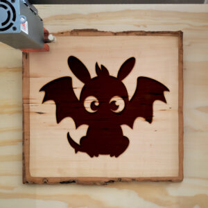 45941_wood-laser-1.jpg