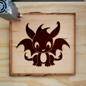 45953_wood-laser-1.jpg