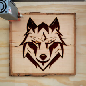 45995_wood-laser-1.jpg