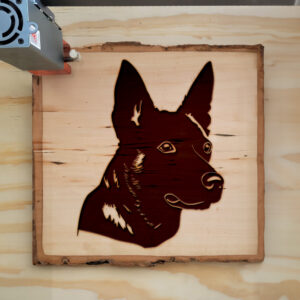 46111_wood-laser-1.jpg