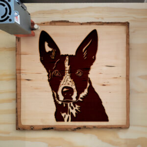 46113_wood-laser-1.jpg