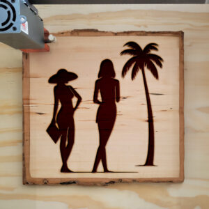 46123_wood-laser-1.jpg