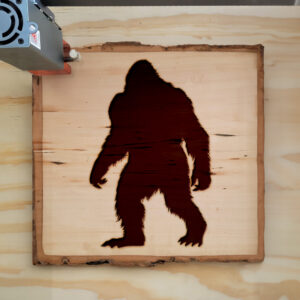 46129_wood-laser-1.jpg