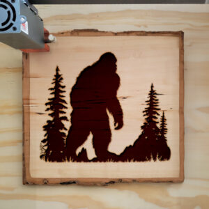 46131_wood-laser-1.jpg