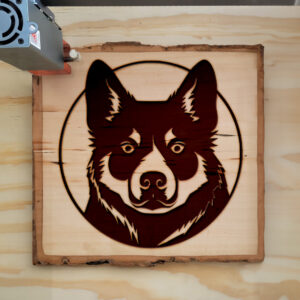 46135_wood-laser-1.jpg