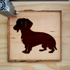 46145_wood-laser-1.jpg