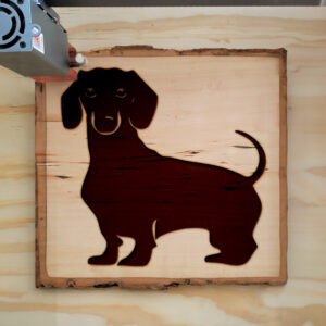 46147_wood-laser-1.jpg