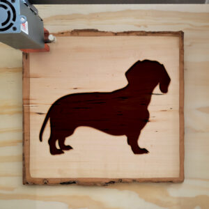 46149_wood-laser-1.jpg
