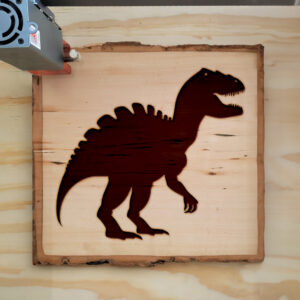 46156_wood-laser-1.jpg