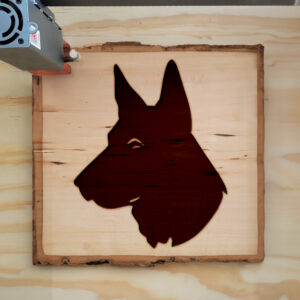 46197_wood-laser-1.jpg