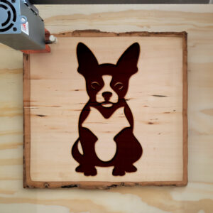 46213_wood-laser-1.jpg