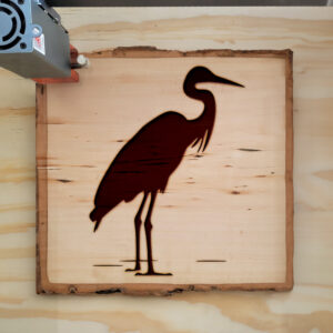 46219_wood-laser-1.jpg