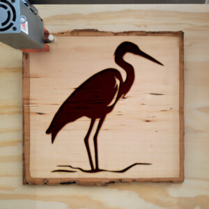 46221_wood-laser-1.jpg