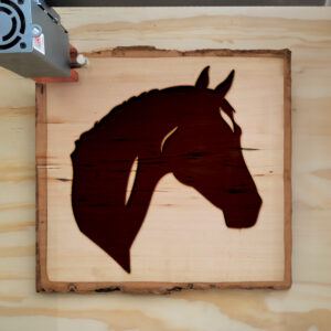 46239_wood-laser-1.jpg