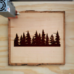 46309_wood-laser-1.jpg