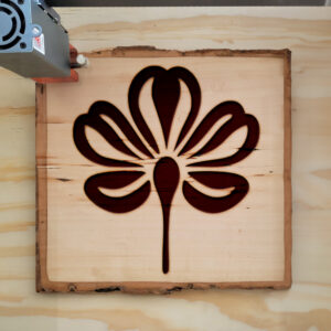 46361_wood-laser-1.jpg