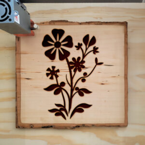 46369_wood-laser-1.jpg